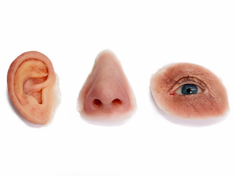 پروتزهای صورت